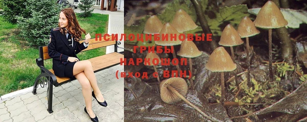 каннабис Бородино